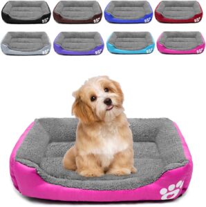 dog beds amazon