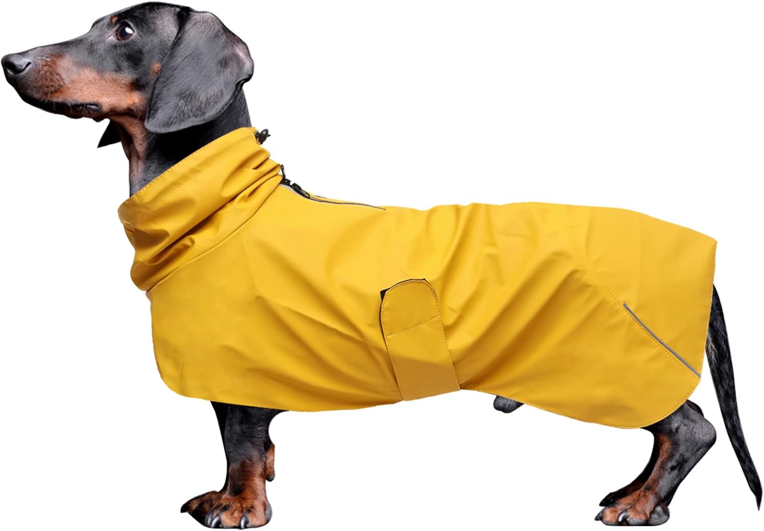 dog jackets waterproof