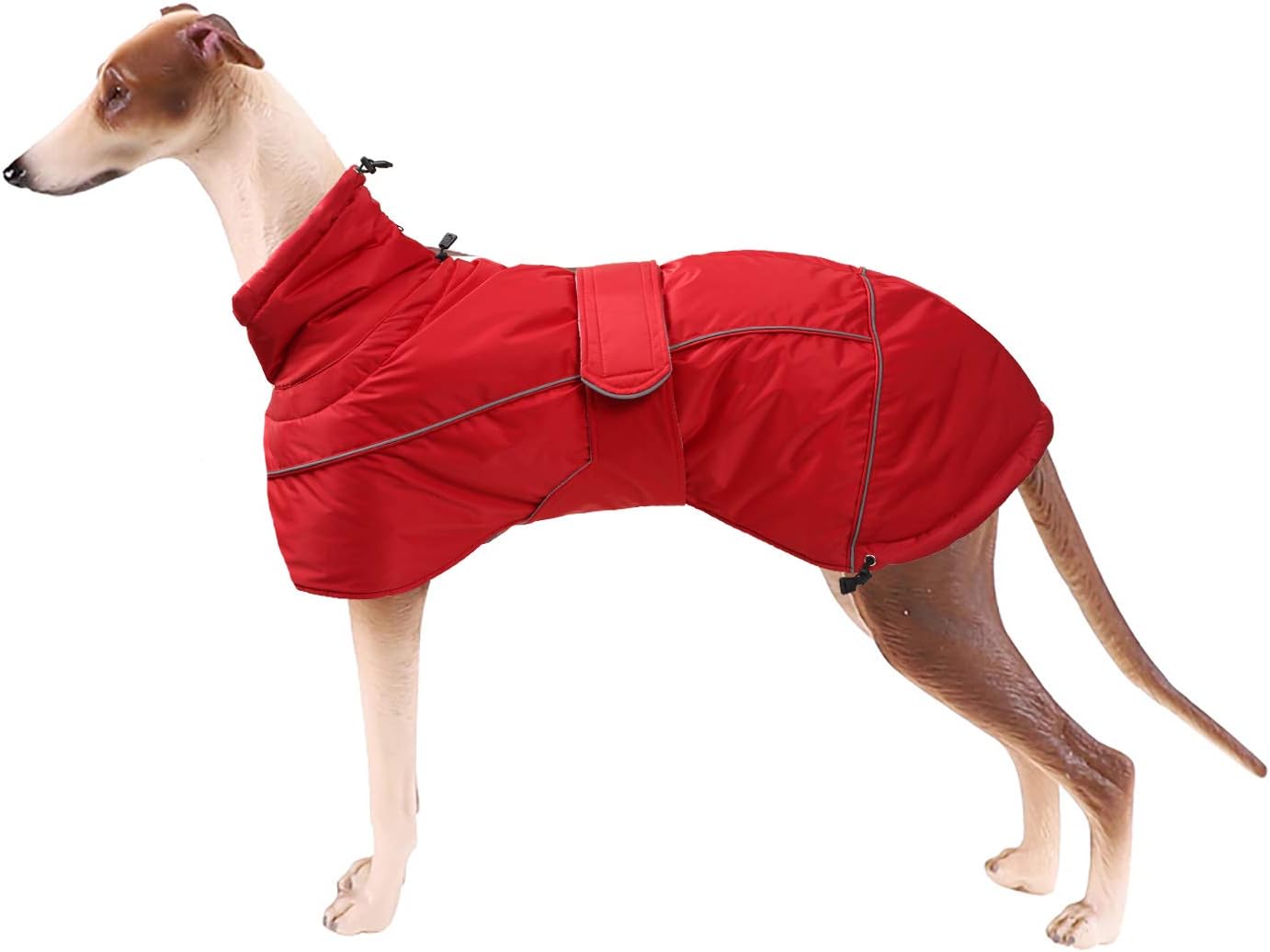 dog jackets waterproof