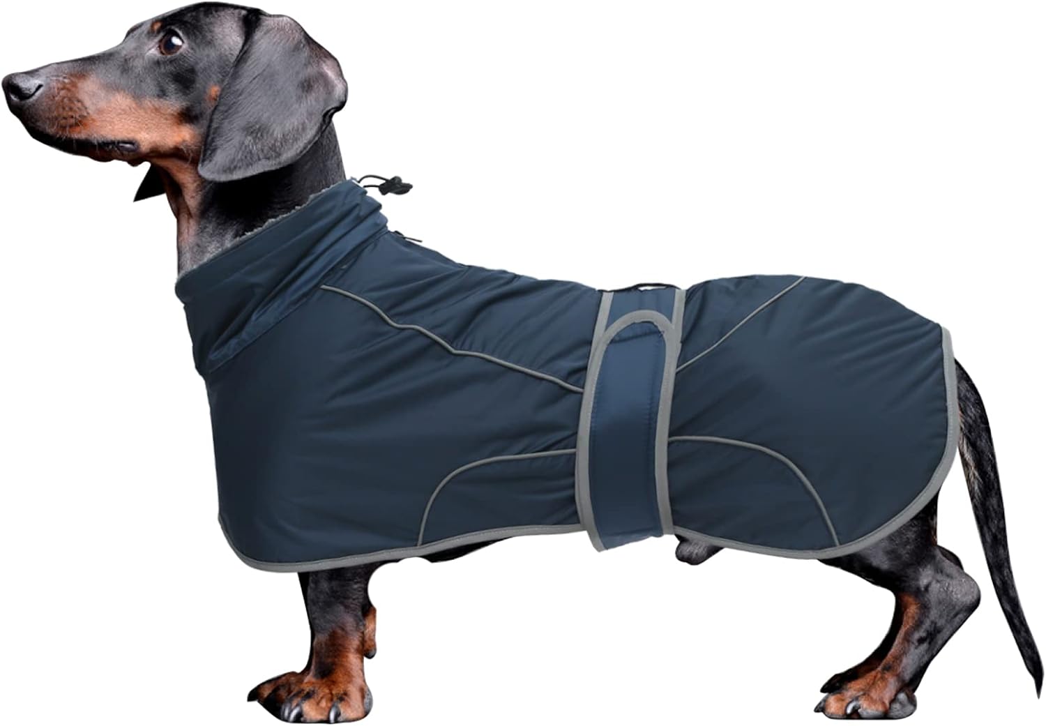 dog jackets waterproof