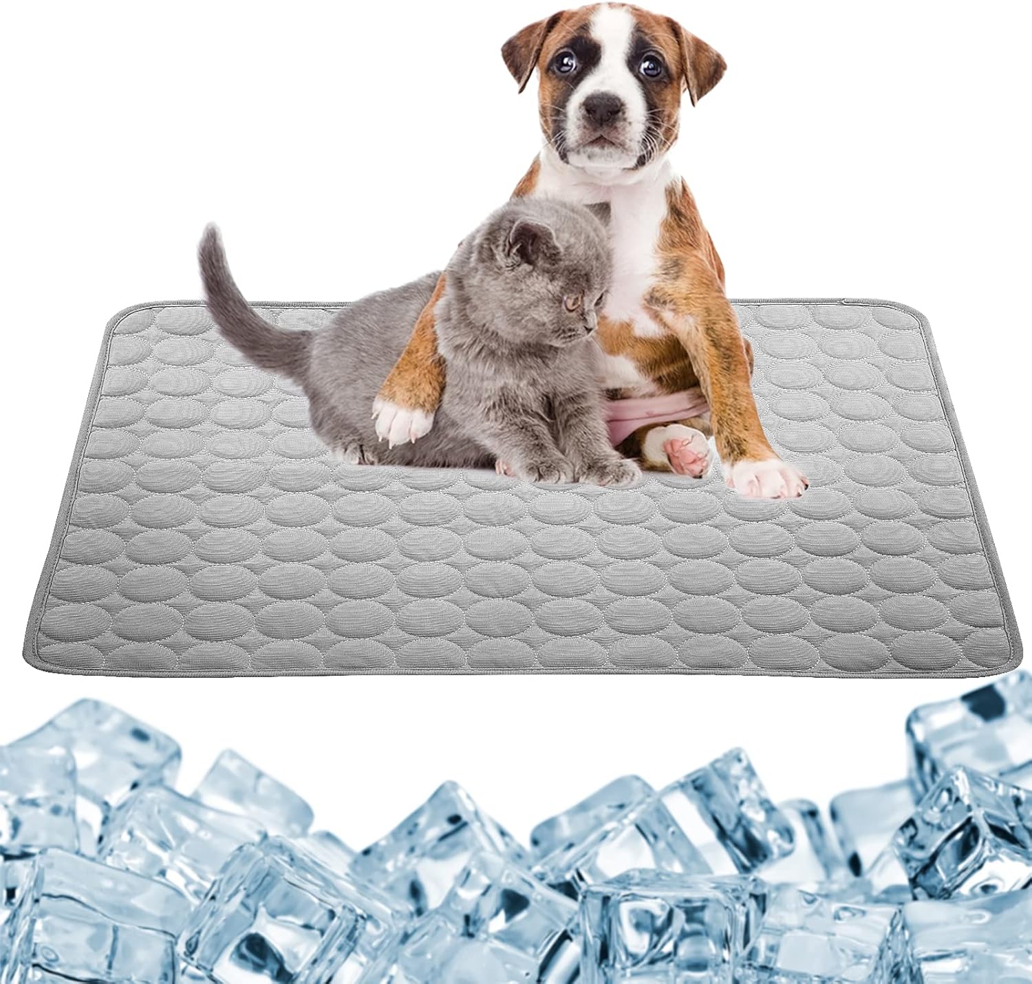 dog beds amazon