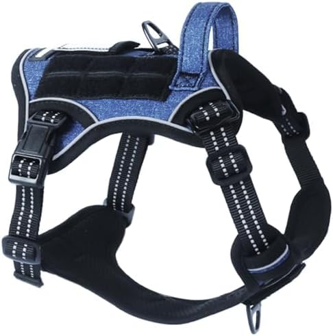 dog harness with name