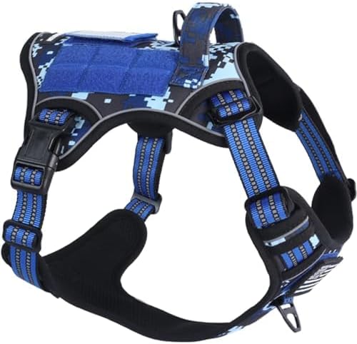 dog harness with name