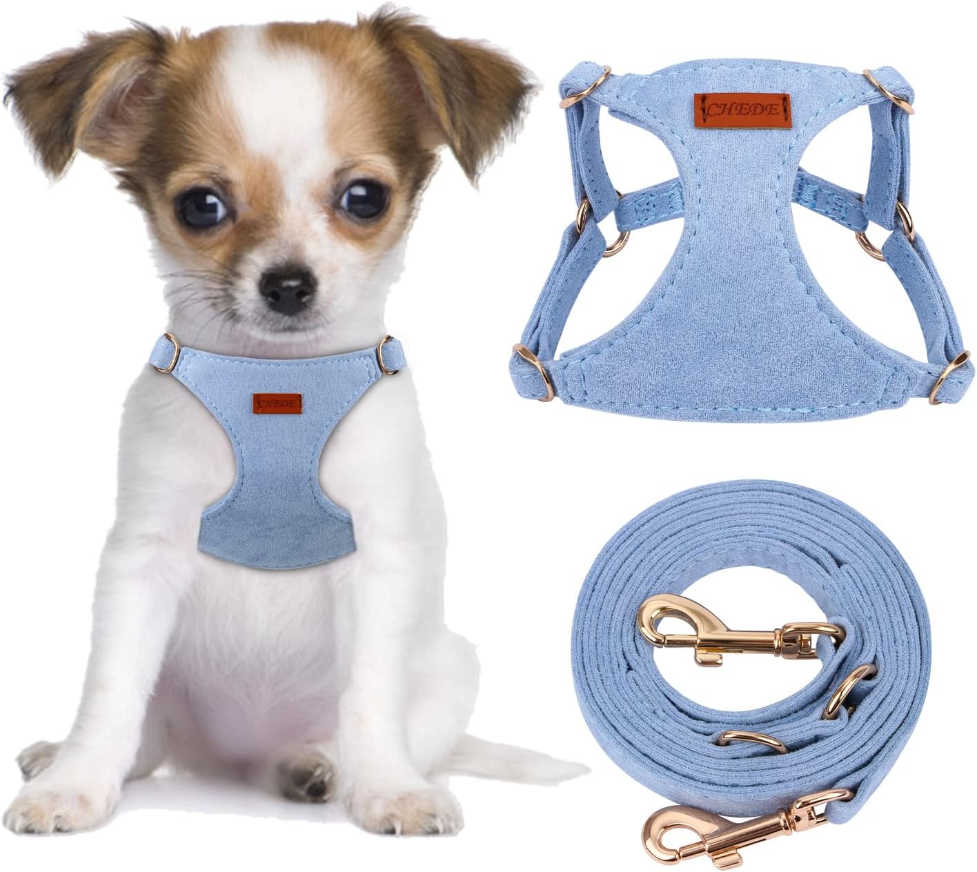 dog harness with name