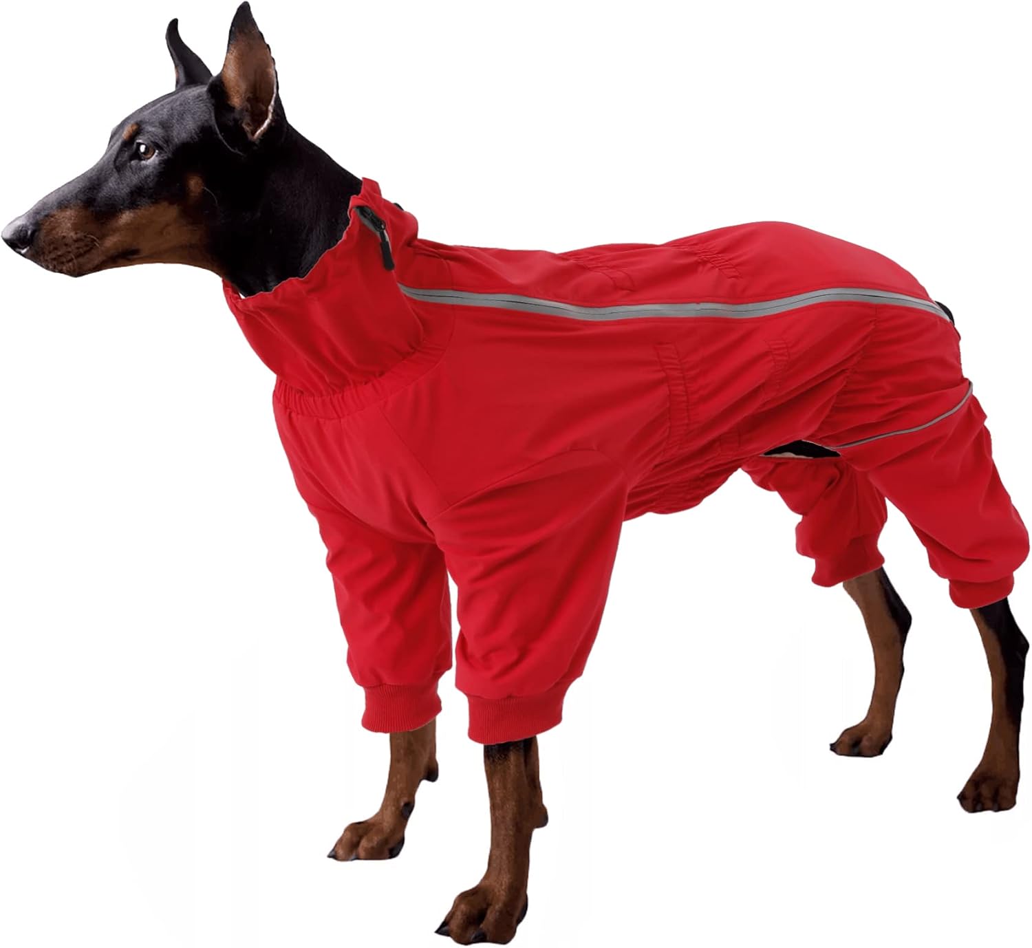 dog jackets waterproof