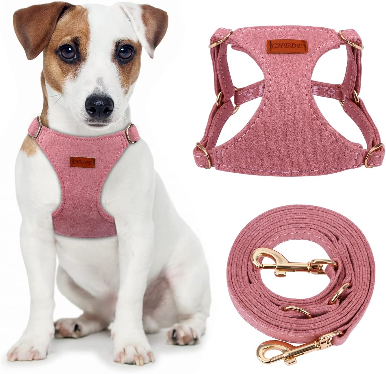 dog harness with name