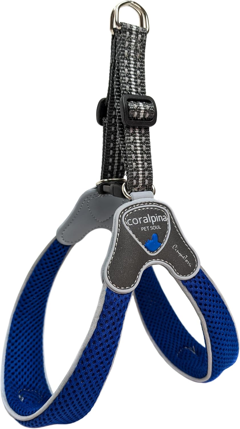 dog harness with name