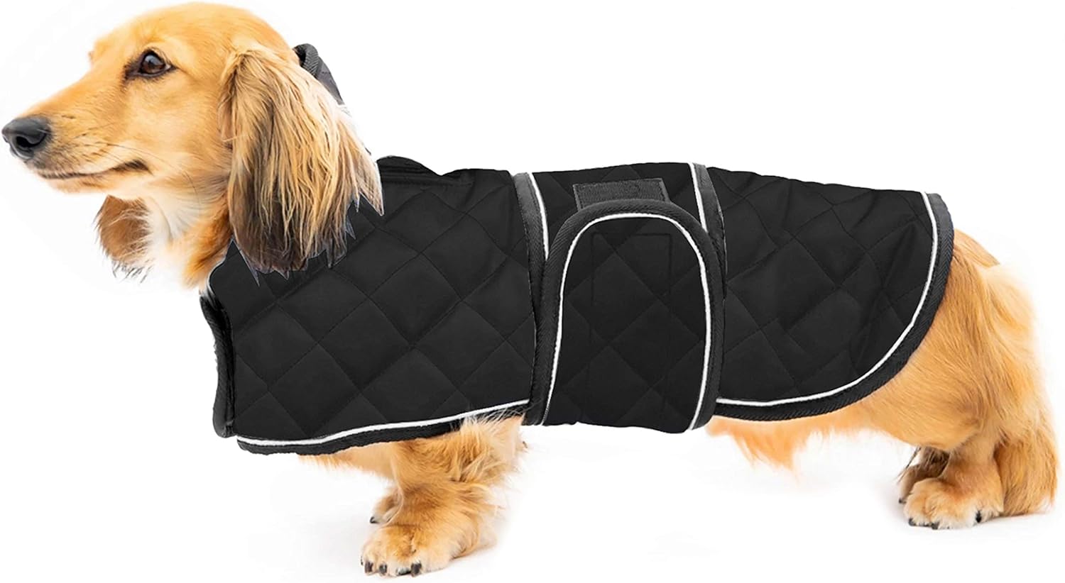 dog jackets waterproof