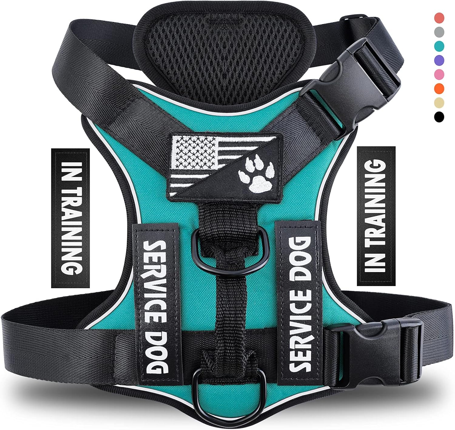 dog harness with name