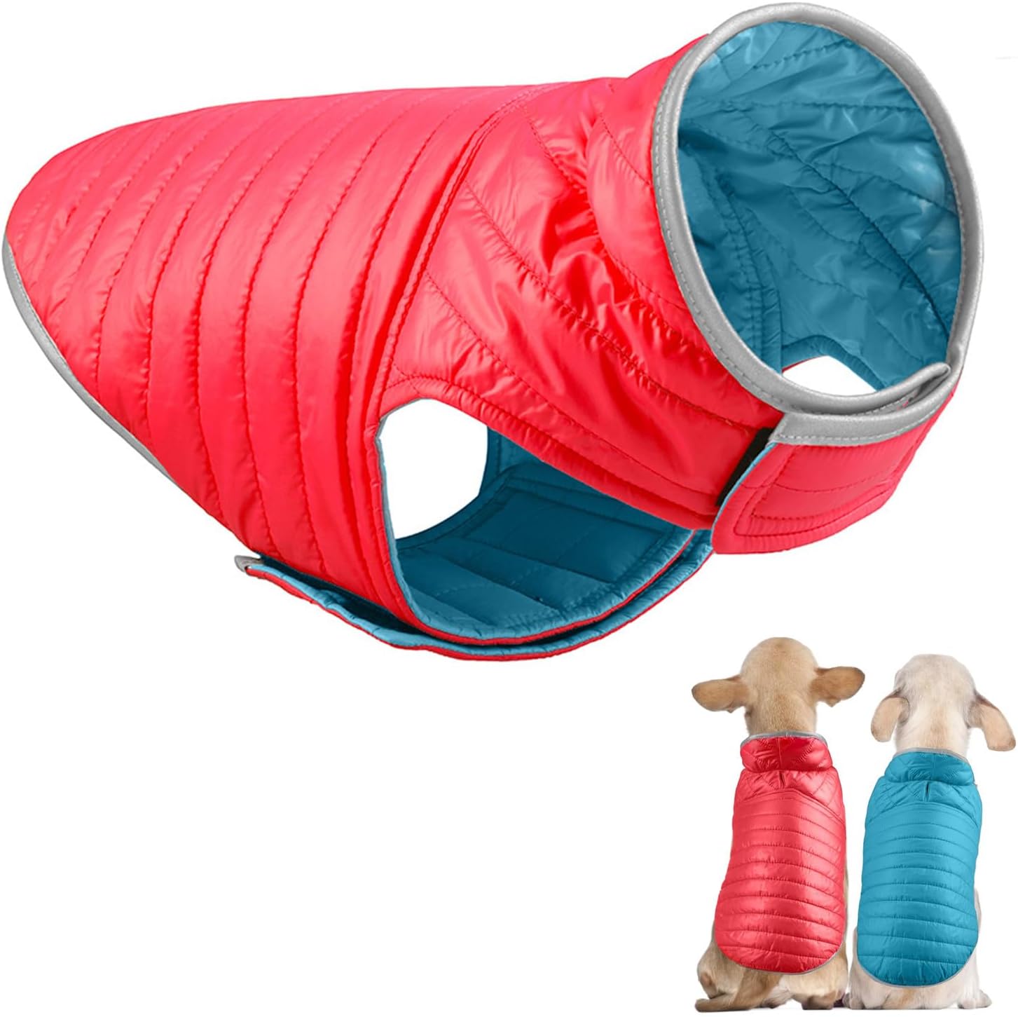 dog jackets waterproof