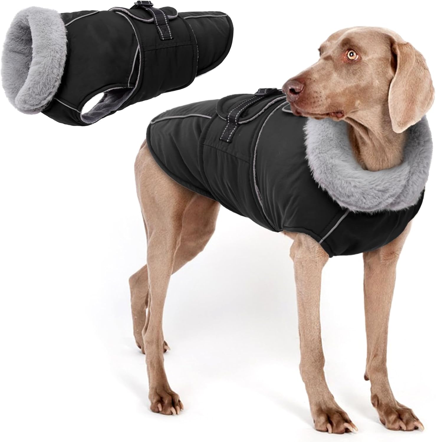 dog jackets waterproof