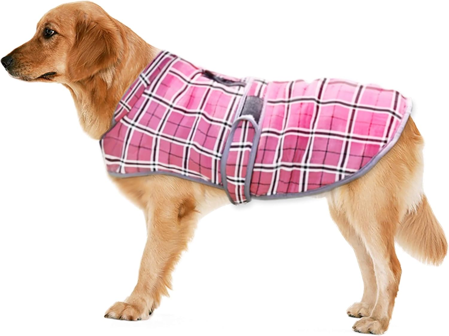 dog jackets waterproof