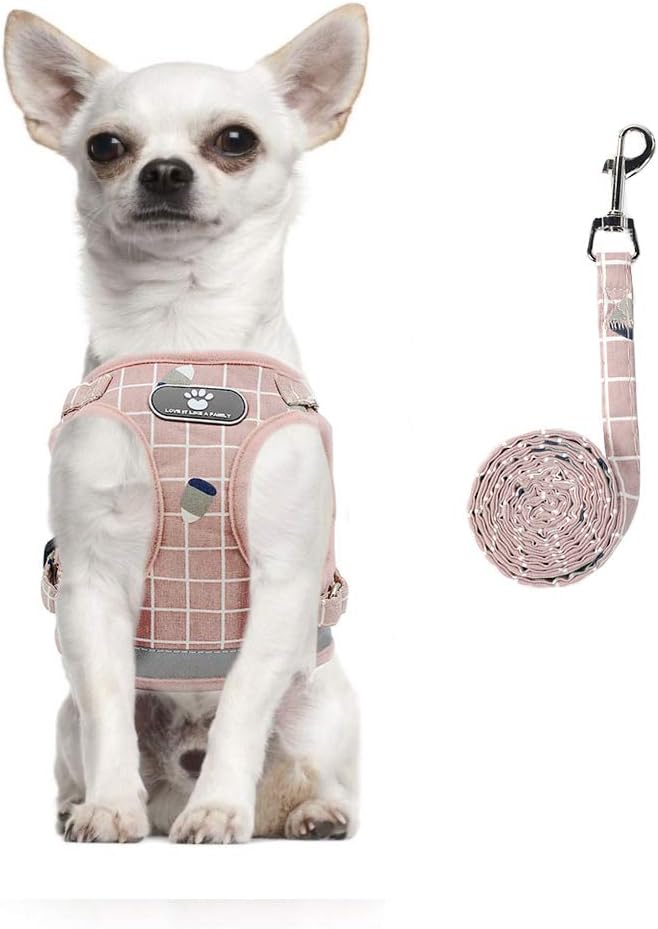 dog harness with name