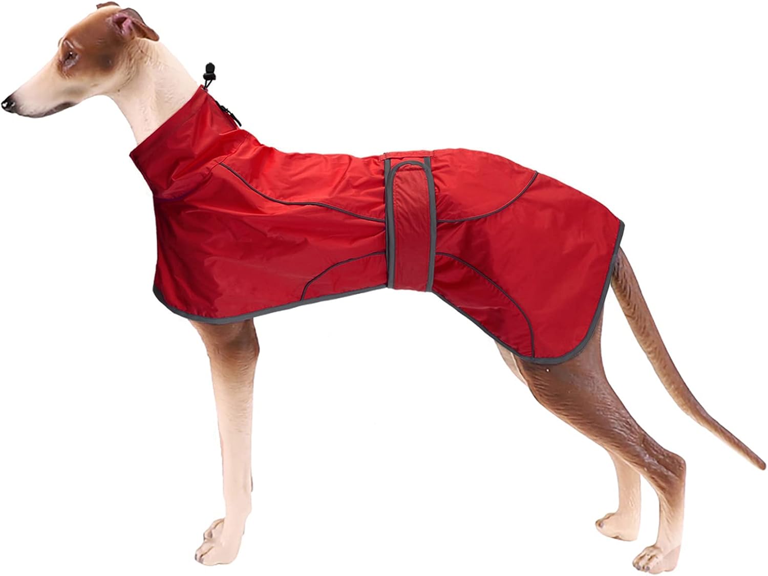 dog jackets waterproof