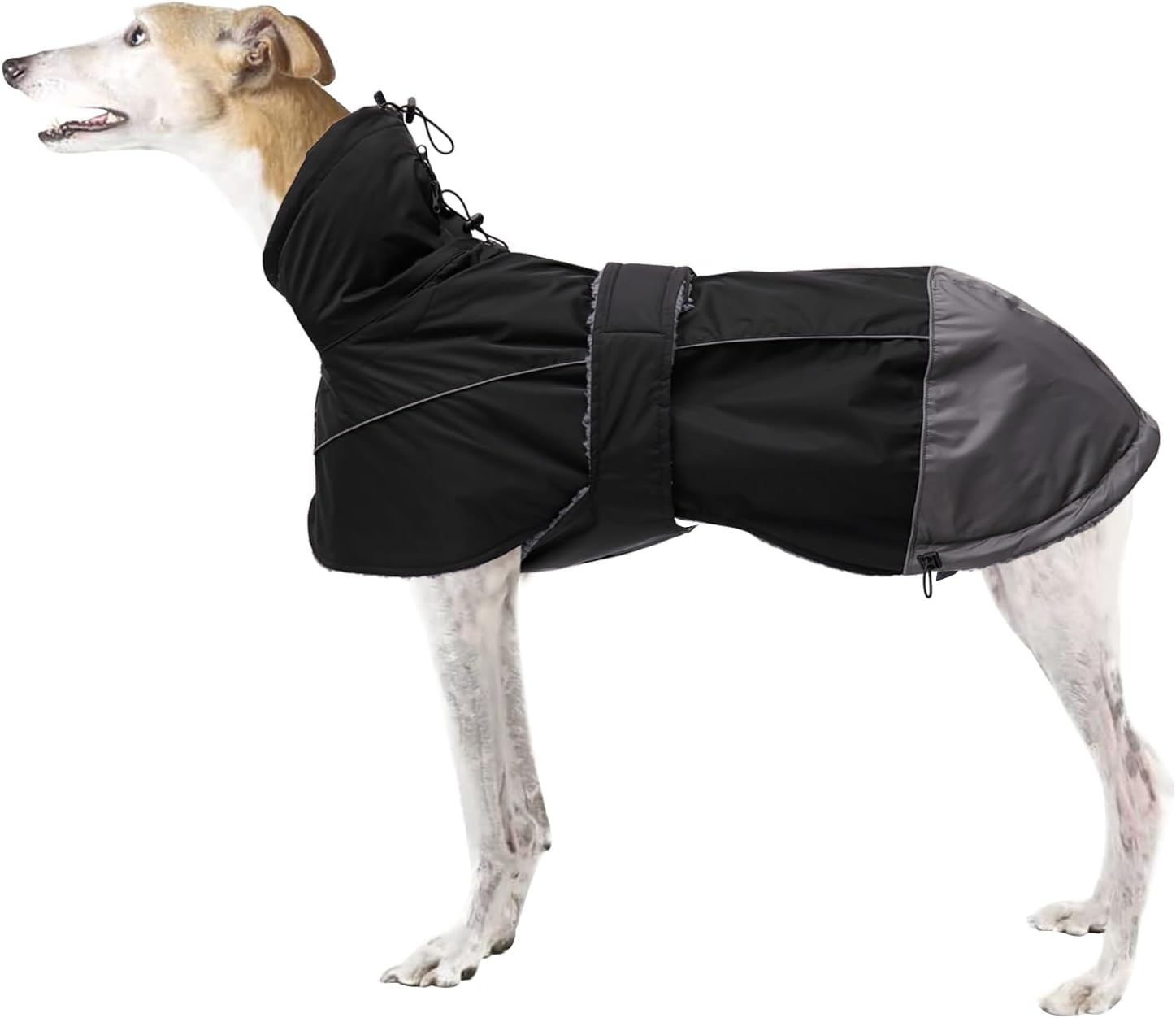 dog jackets waterproof