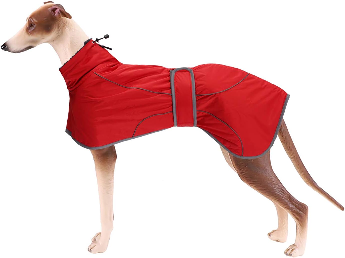 dog jackets waterproof