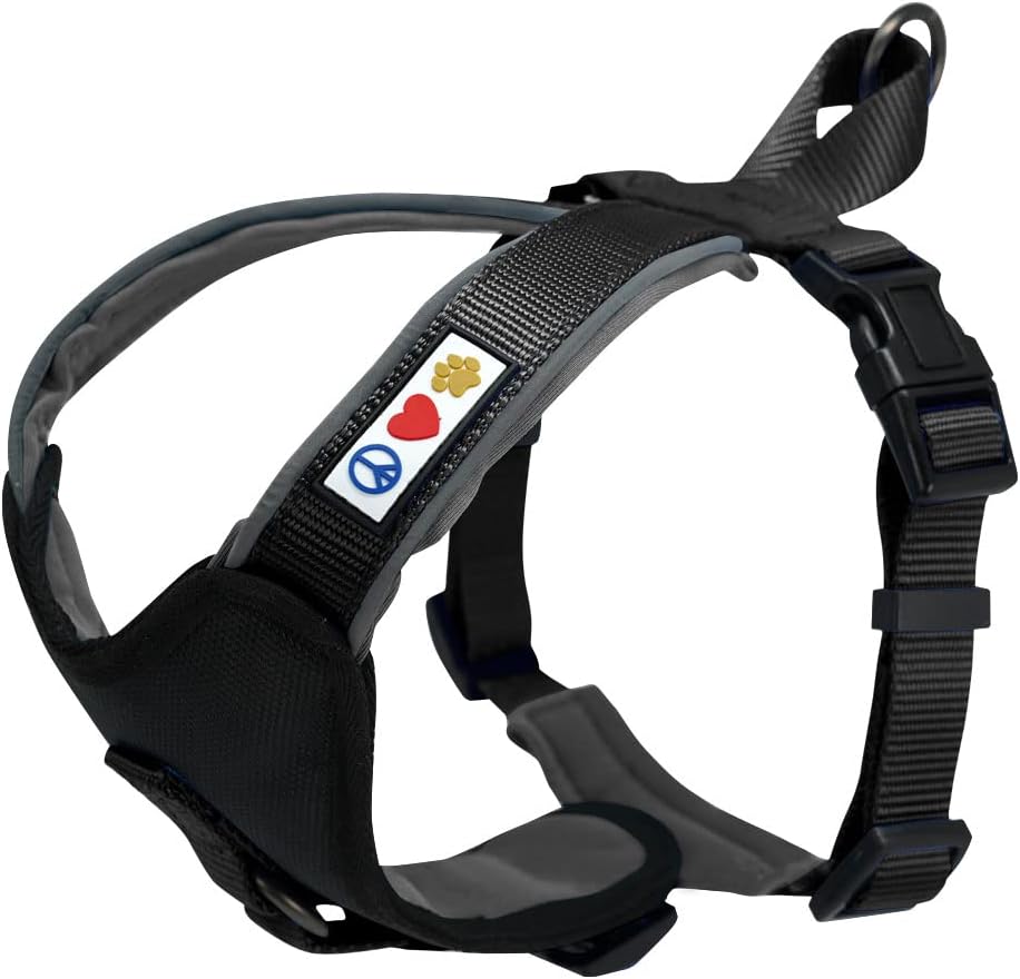 dog harness with name