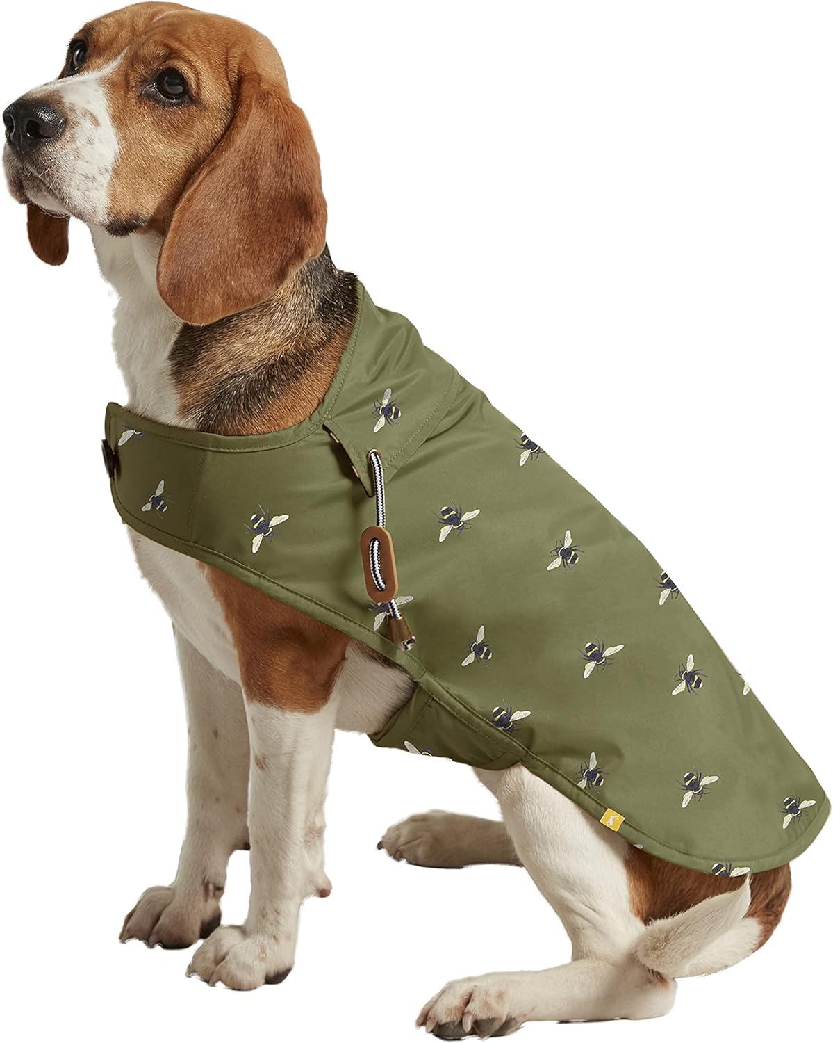 dog jackets waterproof