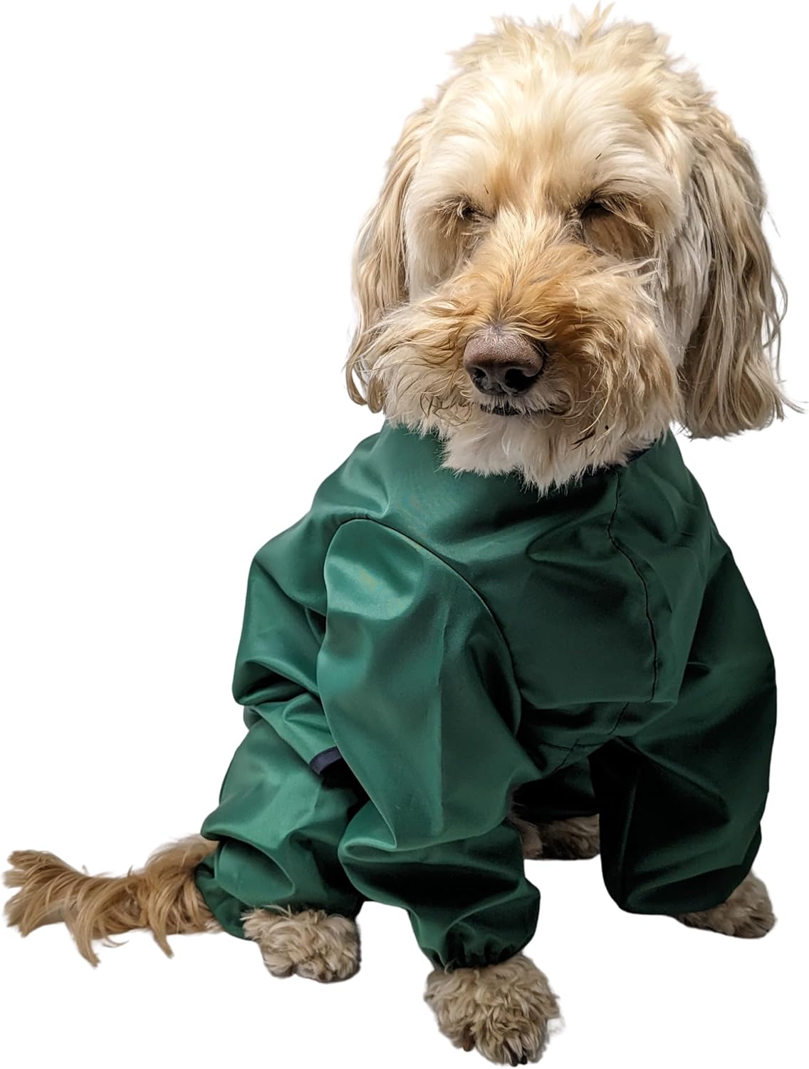 dog jackets waterproof