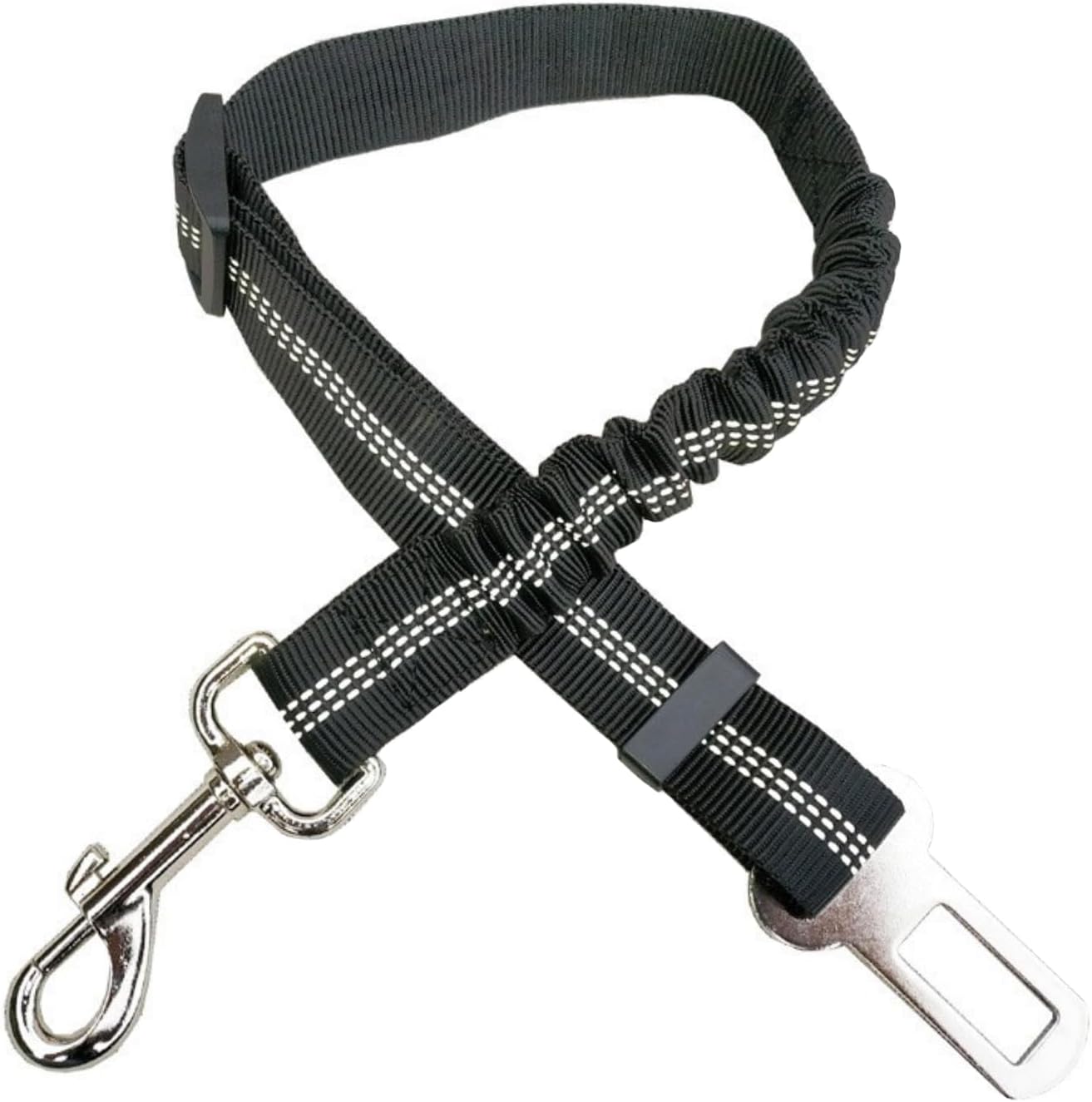 dog harness and leash