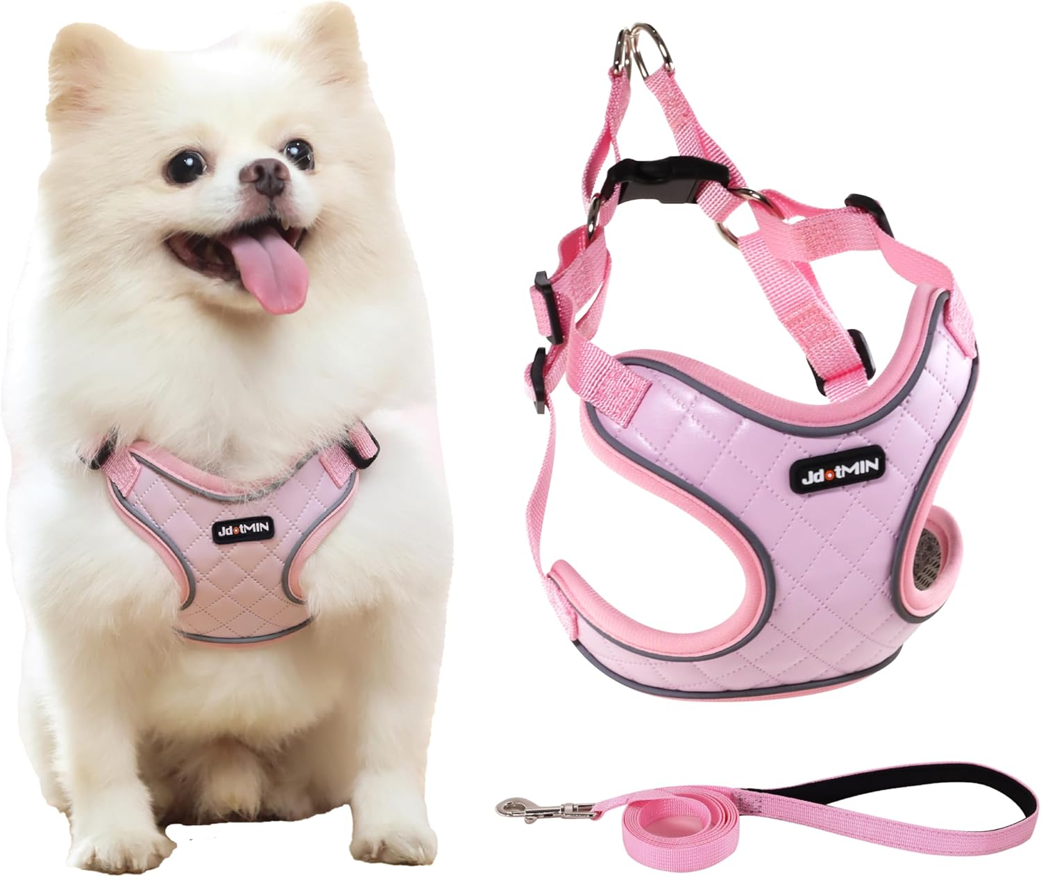 dog harness and leash