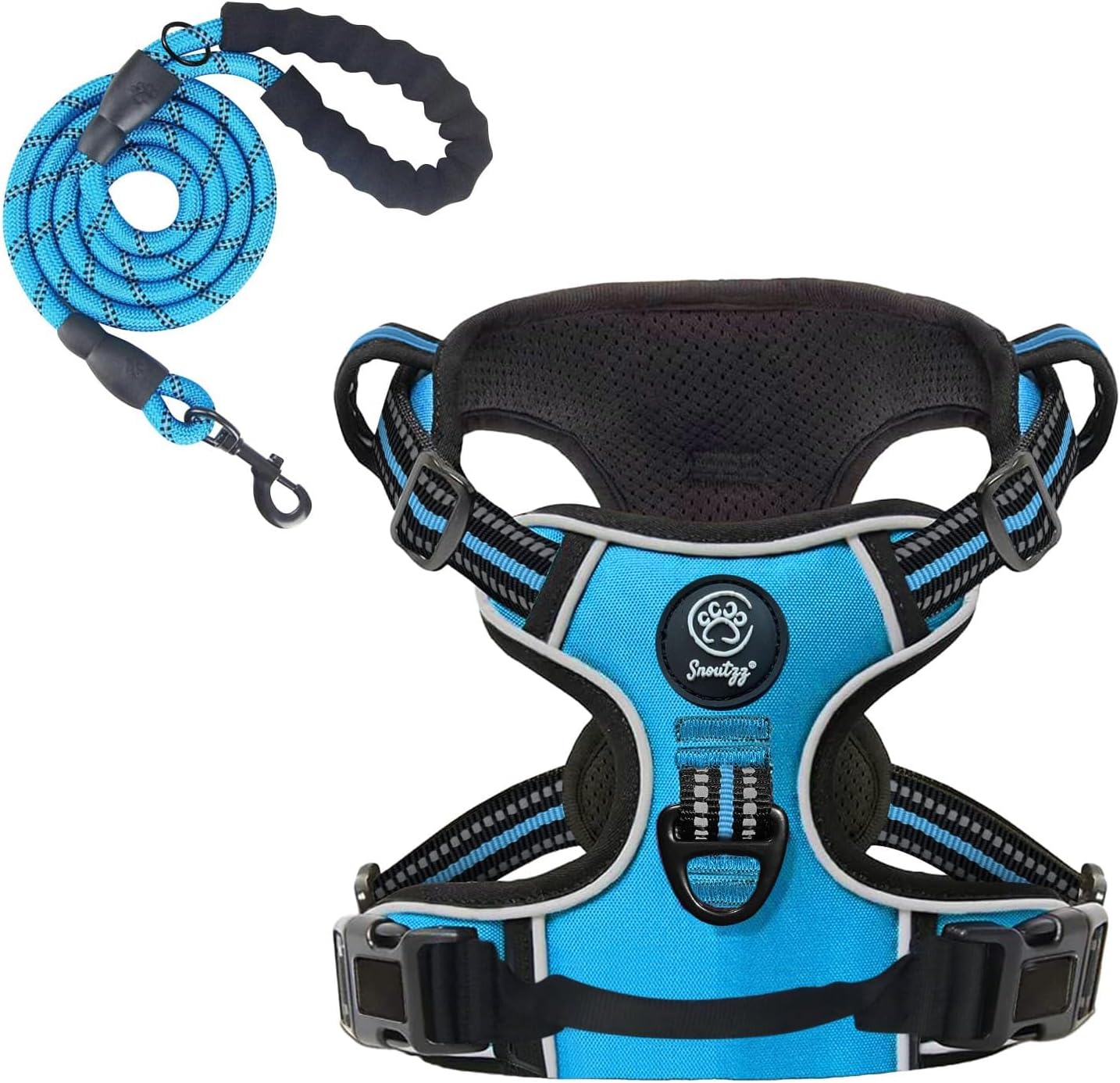 dog harness and leash