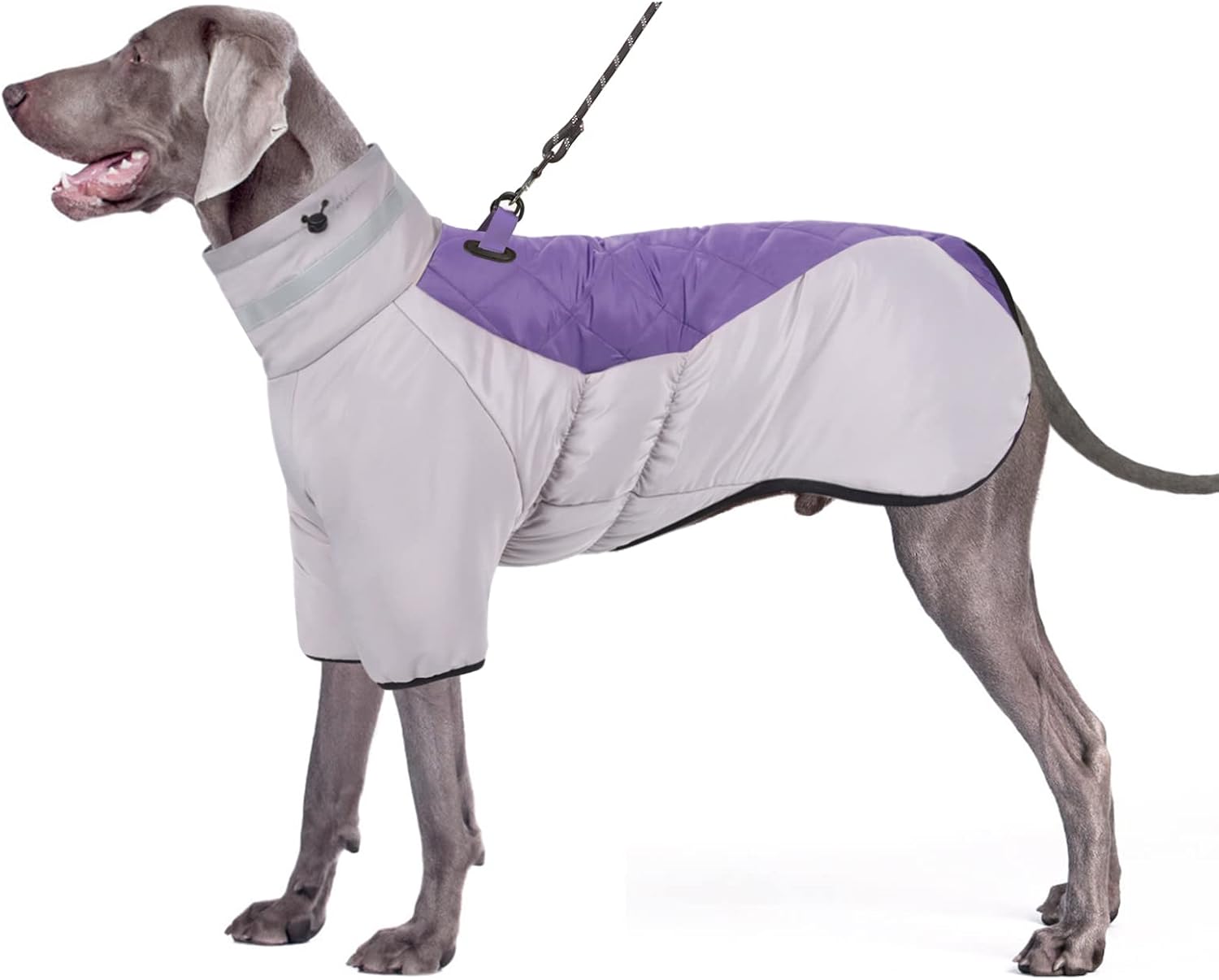 dog jackets for large dogs