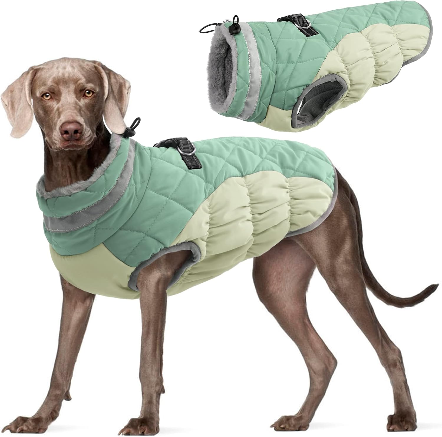 dog jackets for large dogs