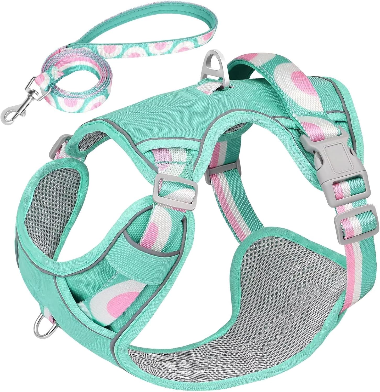 dog harness and leash