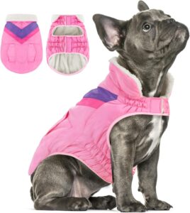 dog jackets amazon