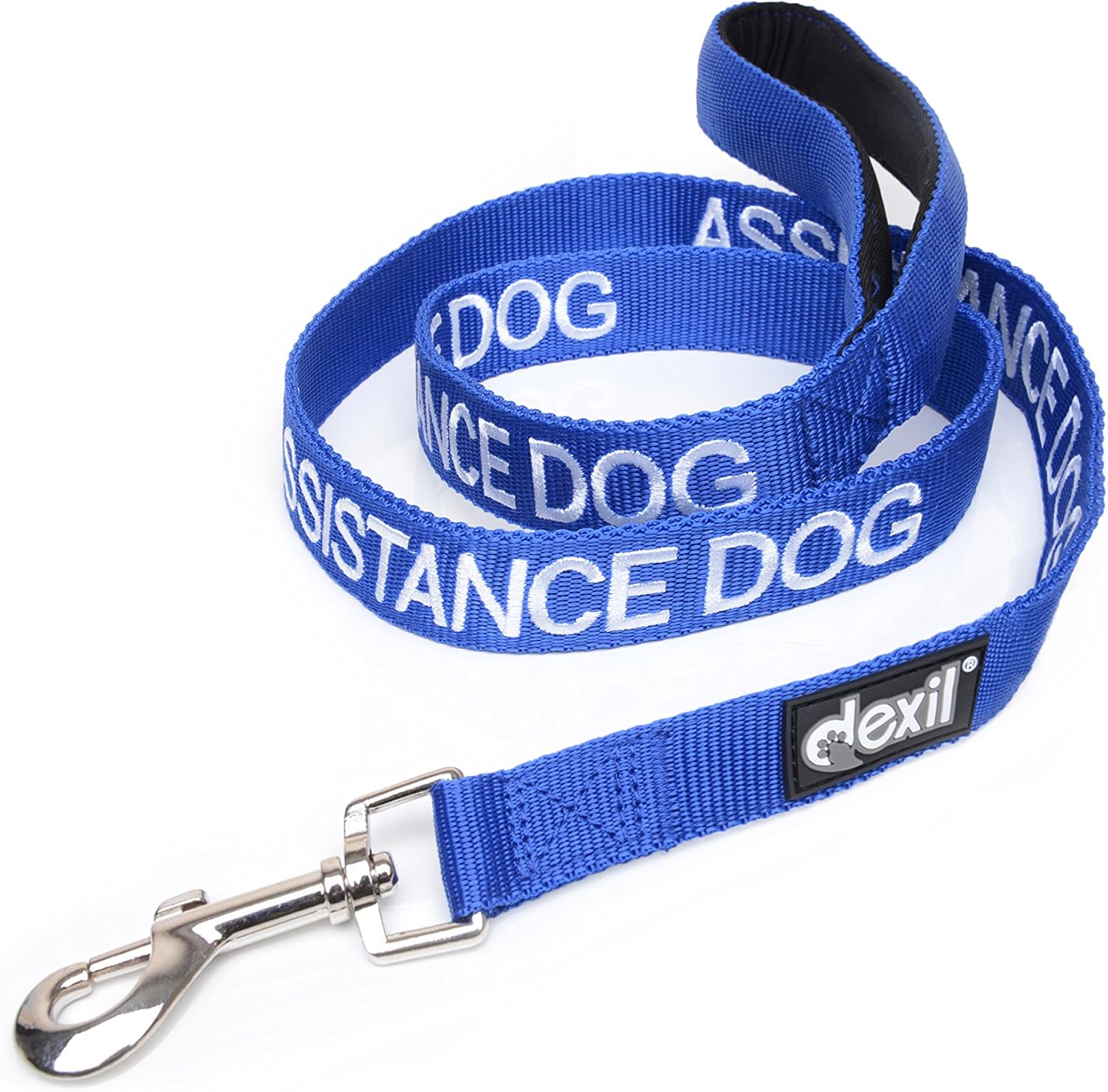 dog harness and leash