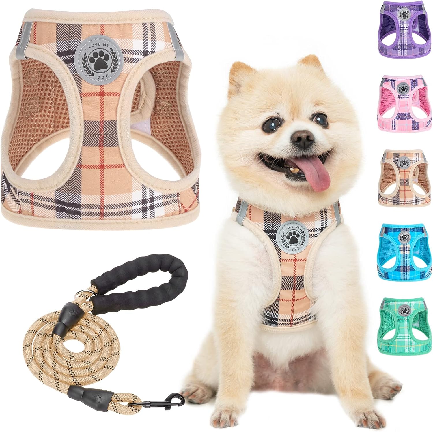 dog harness and leash