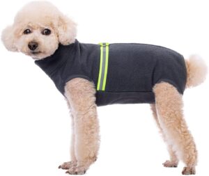 dog jackets amazon