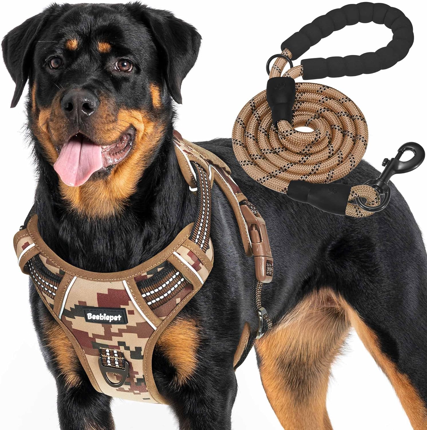 dog harness and leash