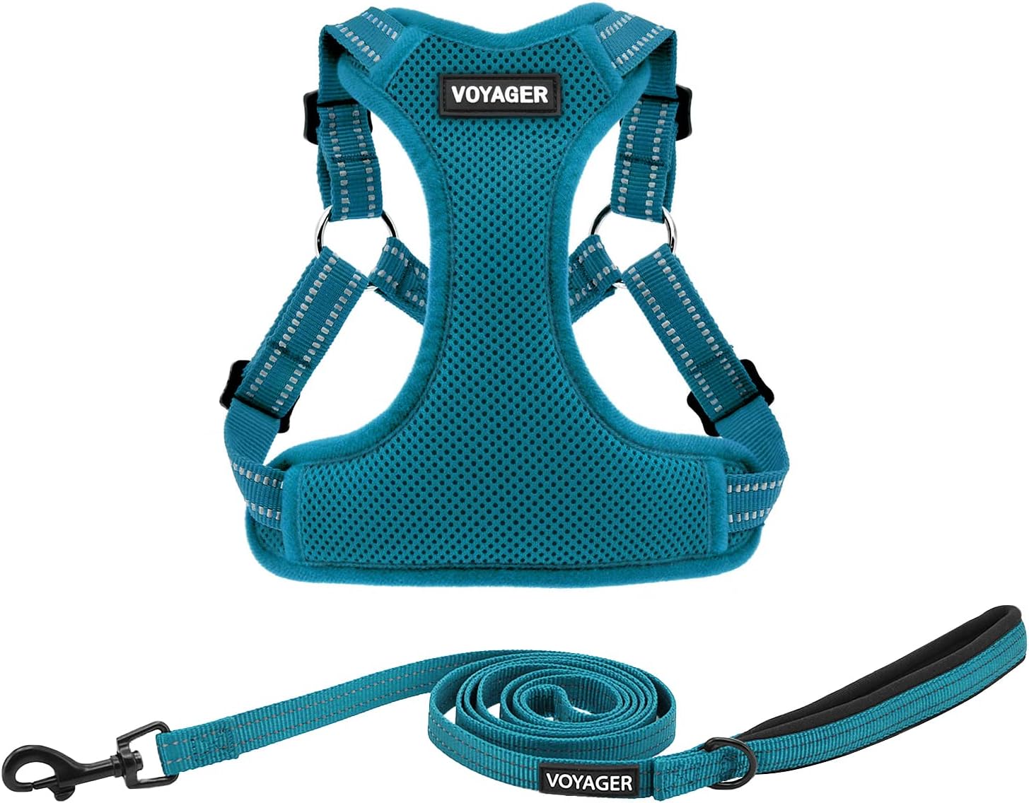 dog harness and leash