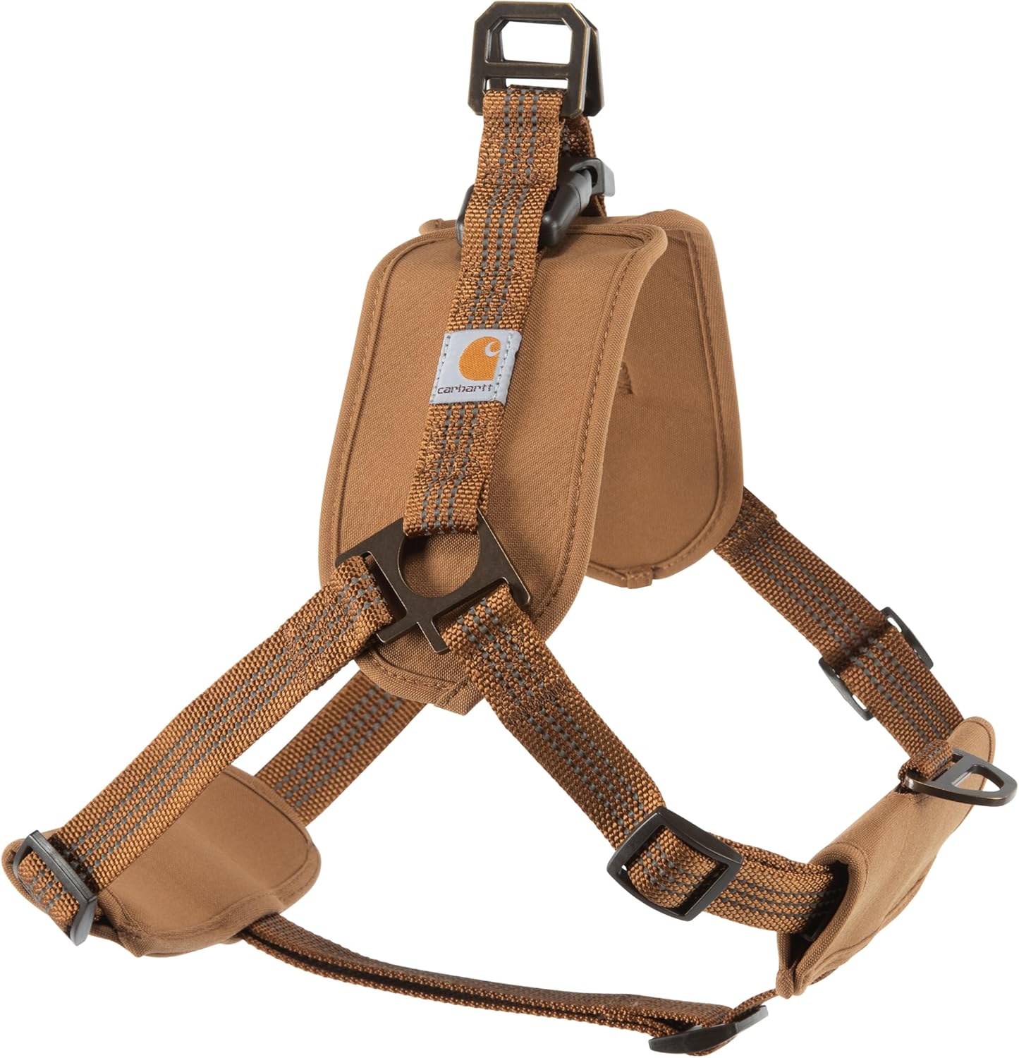 dog harness and leash