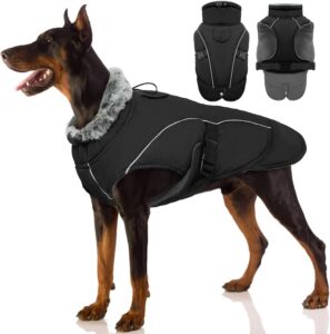 dog jackets amazon