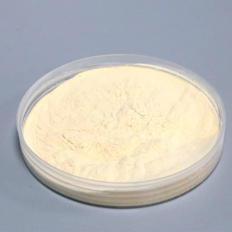 collagen powder