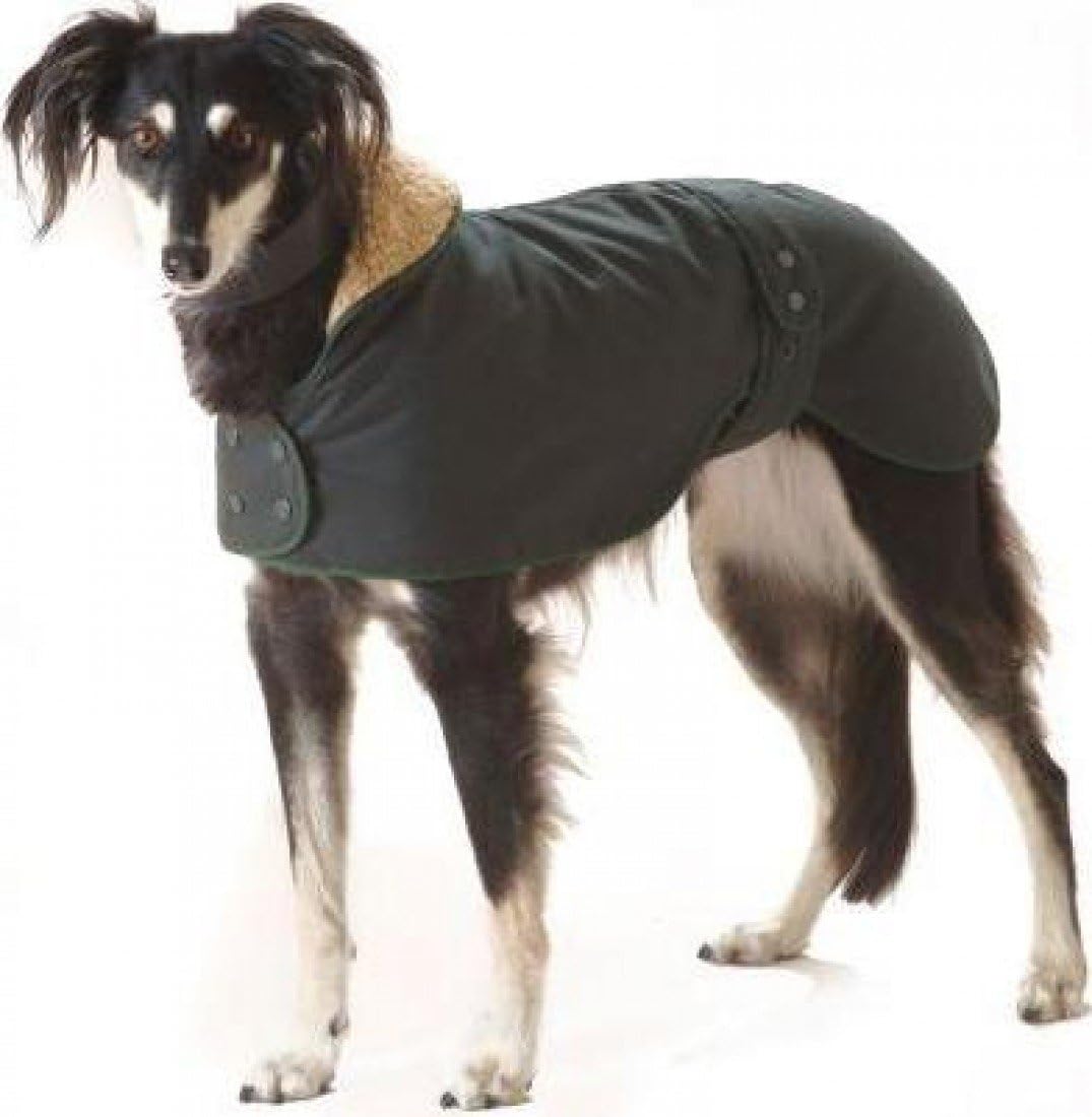 dog jackets amazon