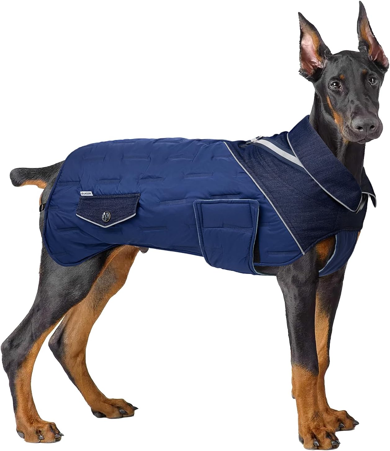 dog jackets amazon