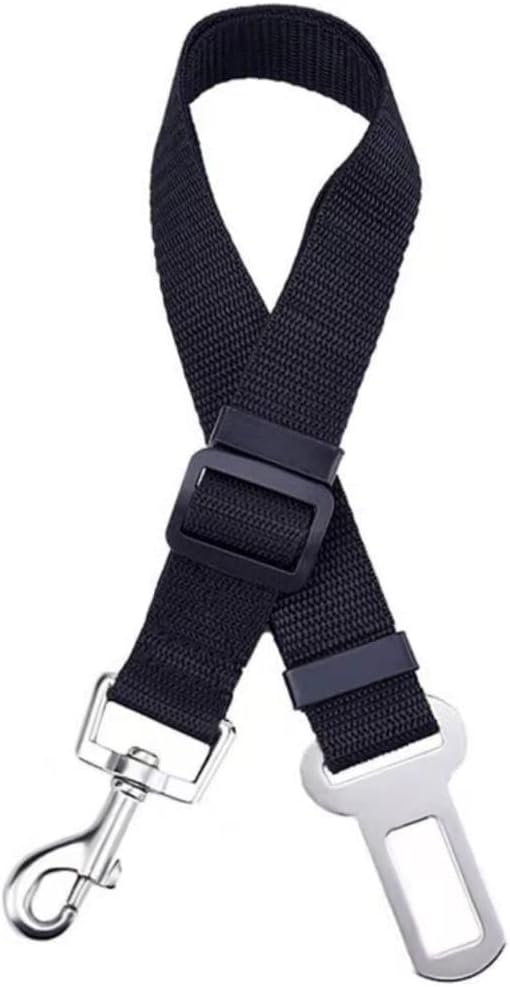 dog harness and leash