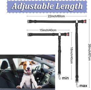 dog harness and leash