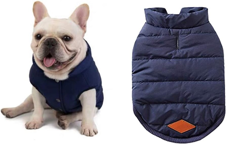 dog jackets amazon