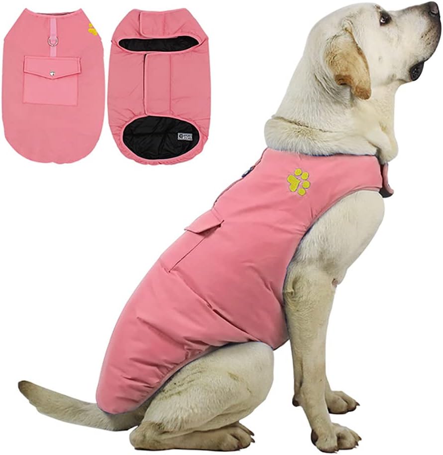 dog jackets amazon