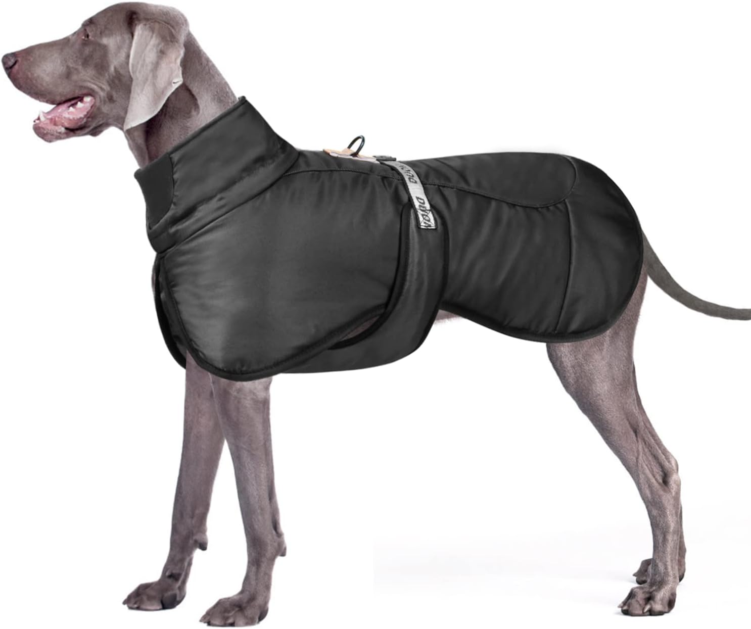 dog jackets amazon