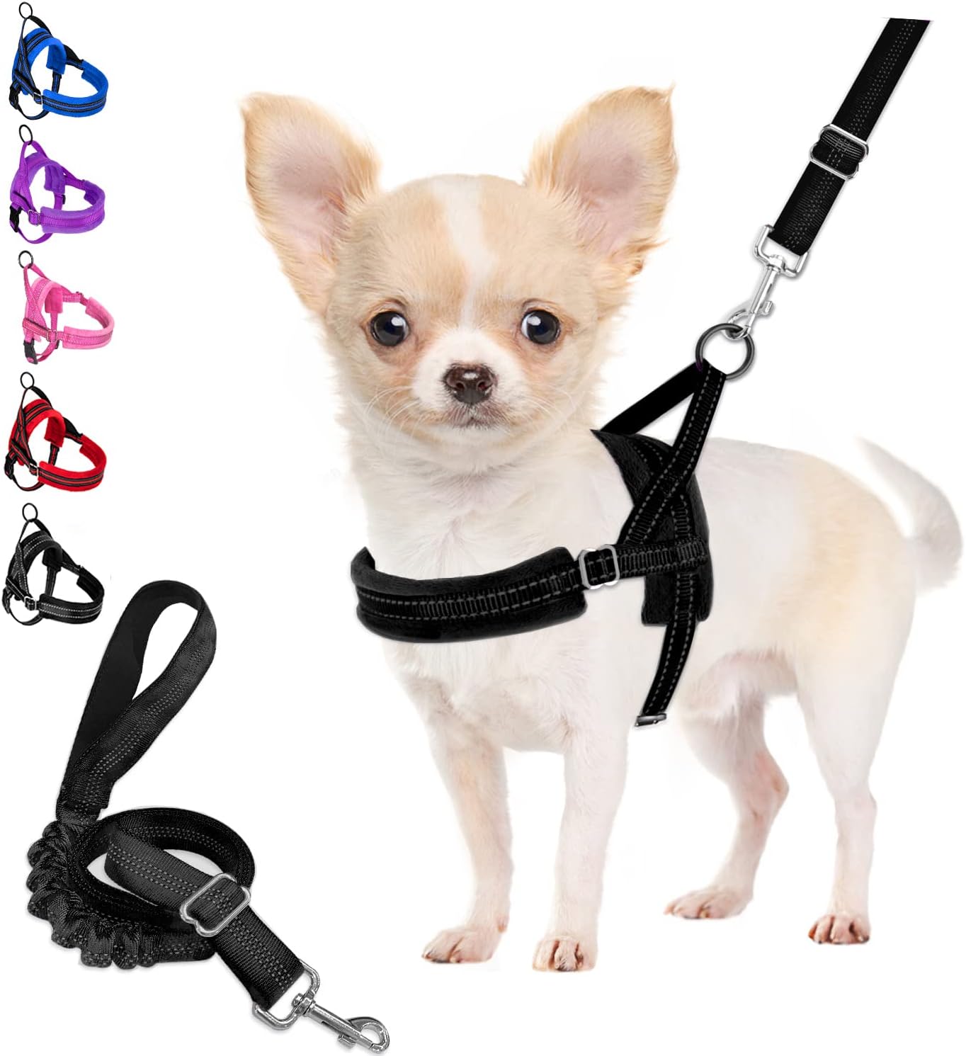 dog harness and leash