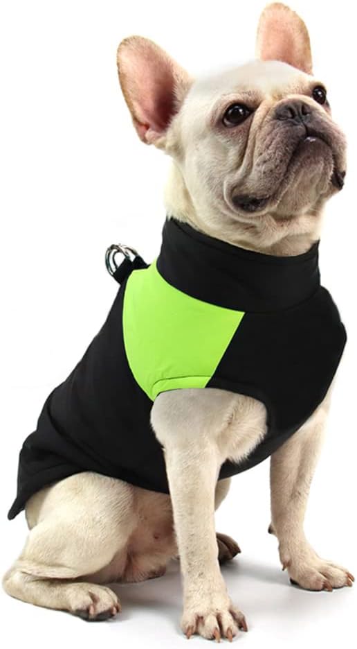 dog jackets amazon