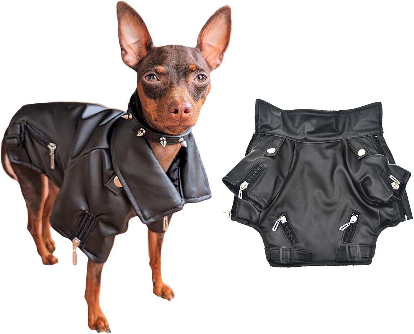 dog jackets amazon