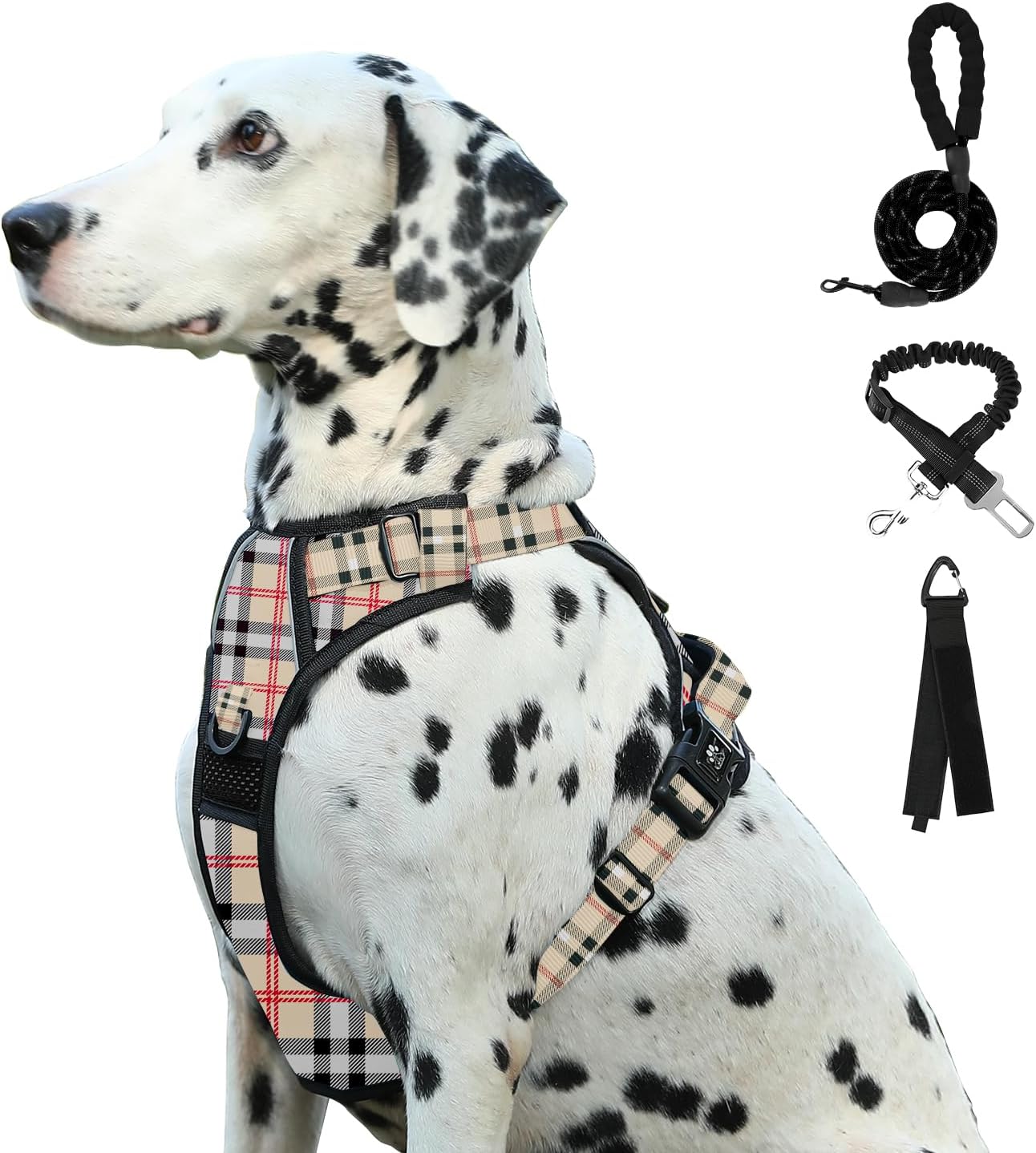 dog harness and leash