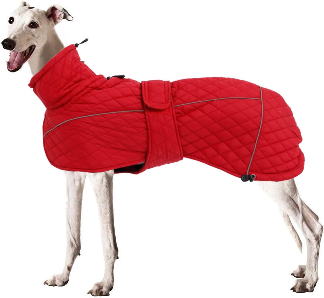 dog jackets amazon